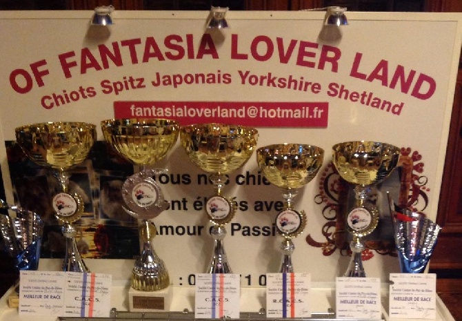 Of Fantasia Lover Land - expos de Chatel Guyon 