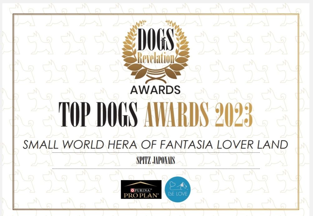 Of Fantasia Lover Land - Meilleur spitz japonais 2023