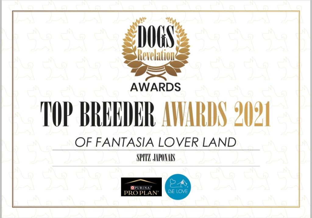 Of Fantasia Lover Land - Meilleurs élevage de France de spitz Japonais  2021
