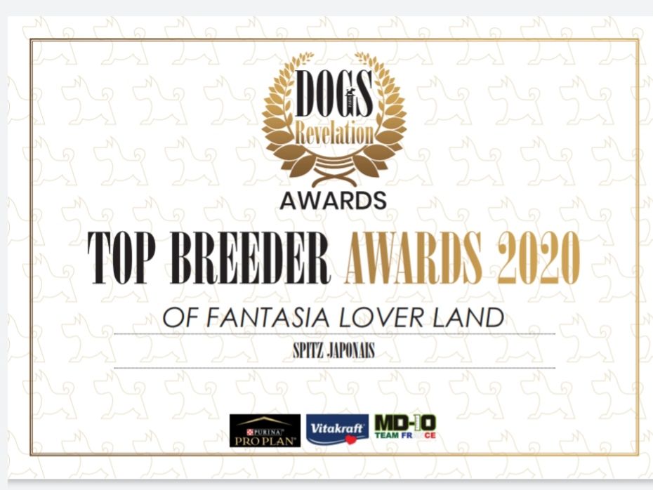 Of Fantasia Lover Land - Meilleurs élevage spitz japonais 2020 