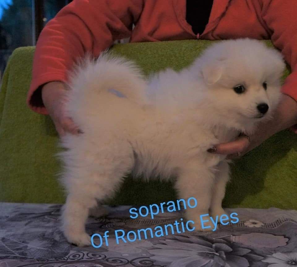 Soprano of romantic eyes