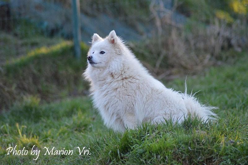 Love me lisara Of Fantasia Lover Land