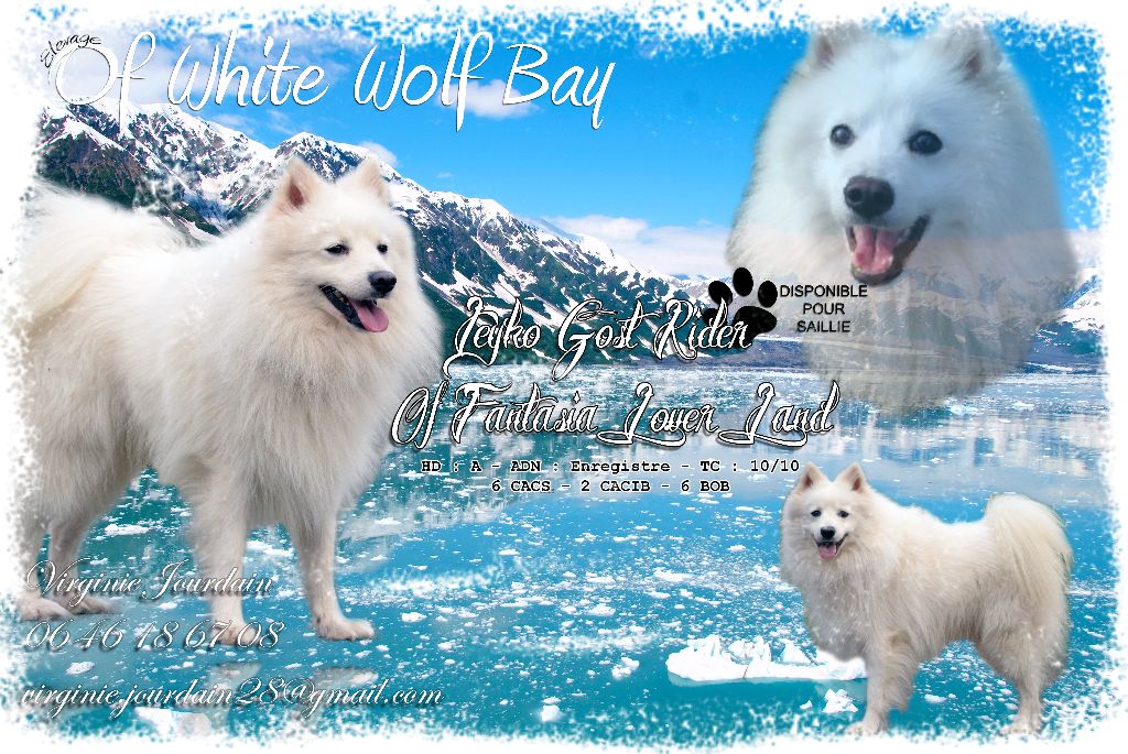 Jeyko gost rider Of Fantasia Lover Land