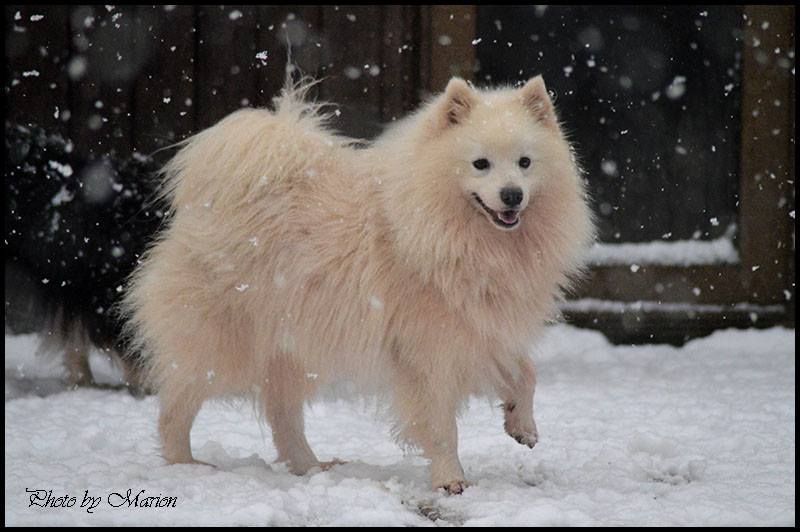 Iruko Of Fantasia Lover Land