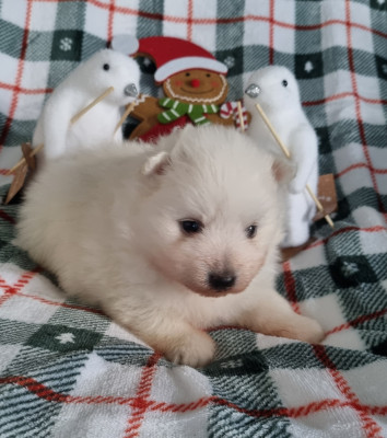 AROUND THE WORLD ALASKA