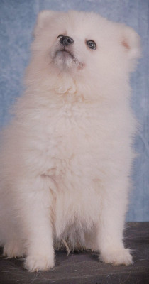 BELIEVE AND SHINE BIKY